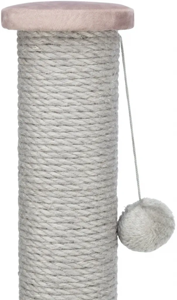 Kratzstamm Livia